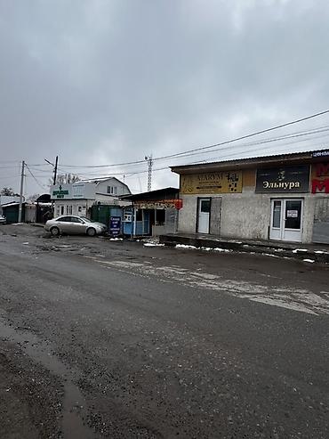 Продажа коттеджей и домов: Продаю дом с действующим доходоприносящим в месяц (до 2000 $ — 2