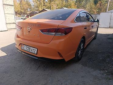 соната оранжевый: Hyundai Sonata: 2019 г., 2 л, Автомат, Газ, Седан — 5