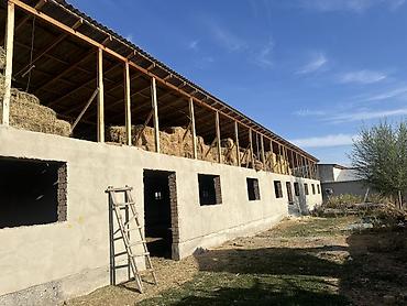 Аренда коммерческой недвижимости: Коровник/скотный двор с помещениями для содержания животных - — 5