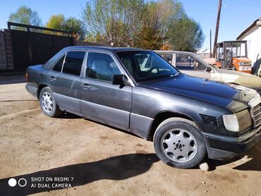 Mercedes-Benz: Mercedes-Benz 230: 1993 г., 3 л, Механика, Дизель, Седан