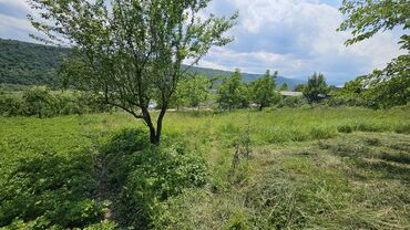 Torpaq sahələrinin satışı: Tikinti — 12