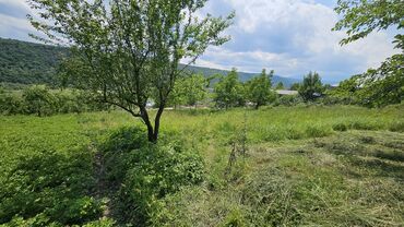 Torpaq sahələrinin satışı: 12 sot, Biznes üçün, Mülkiyyətçi, Kupça (Çıxarış) — 12