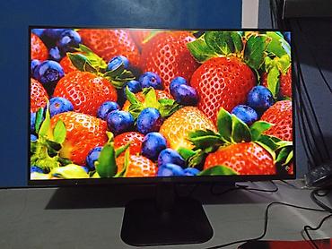 Мониторы: Монитор, AOC, Новый, LCD, 23" - 24" — 17