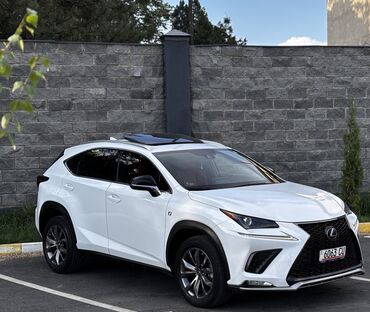 Lexus: Lexus NX: 2019 г., 2 л, Автомат, Бензин, Кроссовер
