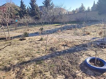 goredil: 15 sot, Tikinti, Maklerlər narahat etməsin, Kupça (Çıxarış) — 1