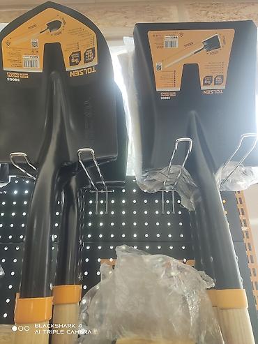 Вилы: Вилы, Платная доставка — 2