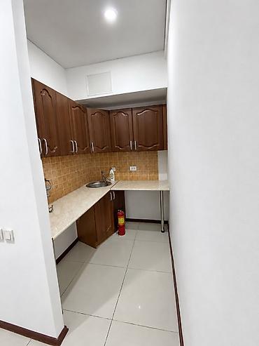 Продажа офисов: Продажа офисов 165 м², С ремонтом, Многоэтажное здание, Цокольный этаж этаж — 8