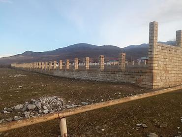 dağ: 43 sot, Kənd təsərrüfatı, Mülkiyyətçi, Kupça (Çıxarış), Texniki pasport — 3