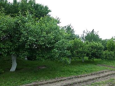 Продажа домов: Дом, 160 м², 6 комнат, Собственник, Косметический ремонт — 18