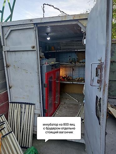 Продажа коттеджей и домов: Продам очень большой благоустроенный дом 250кв м жилая площадь — 6