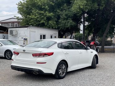 Kia: Kia K5: 2018 г., 2 л, Автомат, Газ, Седан — 7