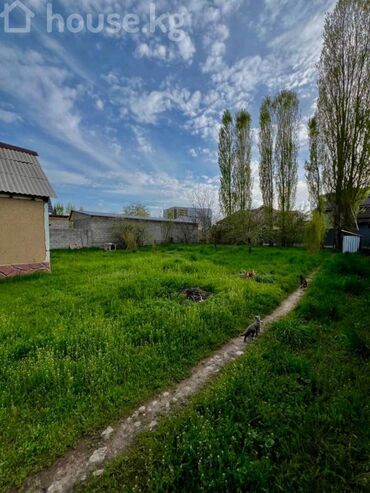 дом село новопавловка: 10 соток, Курулуш, Кызыл китеп