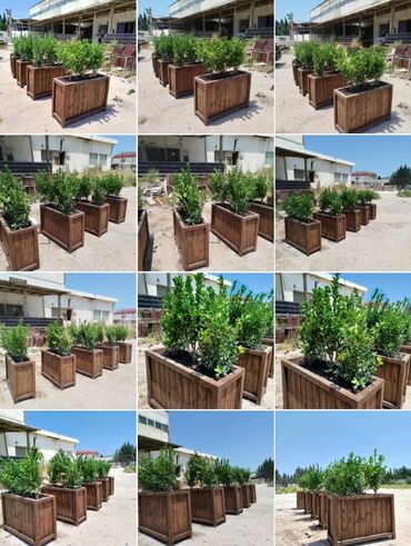 Bitkilər üçün dibçəklər: Taxta dipçəklər Bir başa sexdən.Sex qiymətinə. ♦️Endrim 2025 — 13