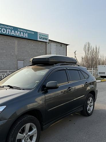 Lexus: Lexus RX: 2004 г., 3.3 л, Кроссовер — 3