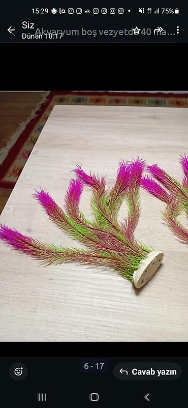 Akvariumlar: Akvarium süni dekor bitki. hamısı 4 manat — 1