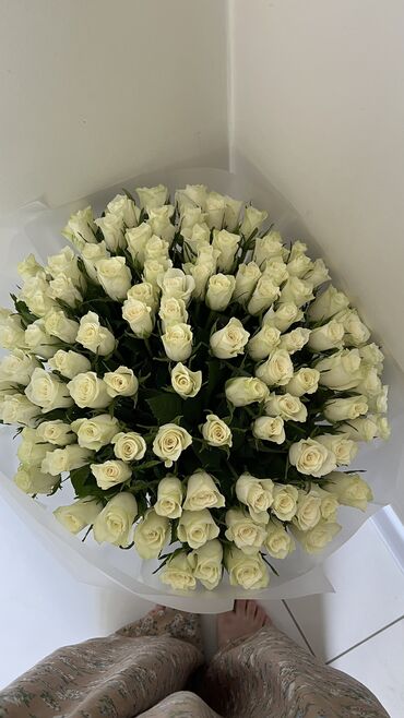 туулган кунго гулдор: Роскошный букет из 101 белой розы 🌹 Потрясающий букет из 101