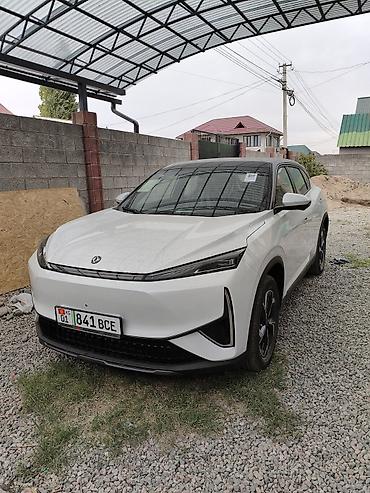 Dongfeng: Dongfeng : 2026 г., Электромобиль, Кроссовер — 1