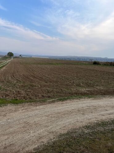 Torpaq sahələrinin satışı: Kənd təsərrüfatı — 2