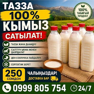 банки бишкек: Кымыз сатылат 250соидон ⁸100% тазза — 1