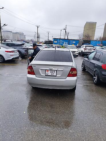 Toyota: Toyota Corolla: 2006 г., 1.6 л, Автомат, Бензин — 5