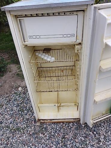 water cooler: Холодильник «Полюс» (одно-секционный с морозильной камерой вверху) - — 1