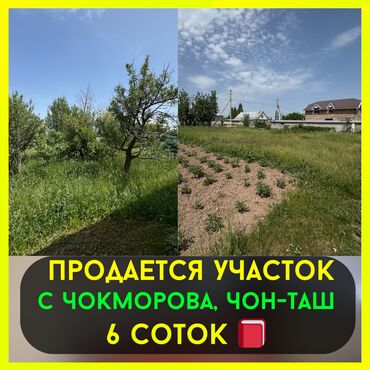участок шералиева: 6 соток, Курулуш, Кызыл китеп