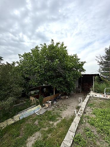 Недвижимость: 5 соток, Красная книга — 3