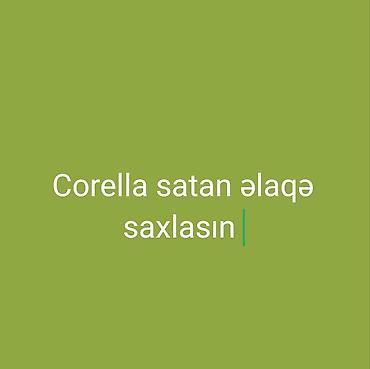 Corella (nimfa tutuquşusu) axtarılır. Axtarılan xüsusiyyətlər: - lalafo.az -da Corella (nimfa tutuquşusu) axtarılır. Axtarılan xüsusiyyətlər: -