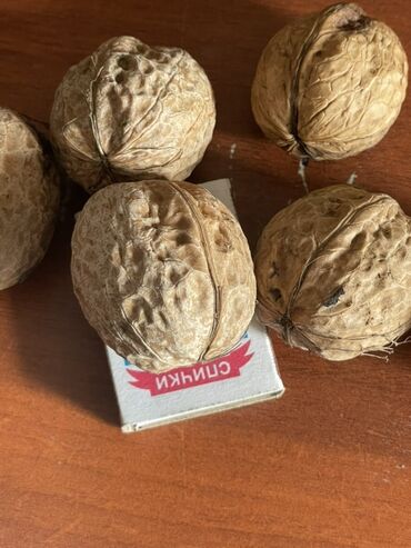 аквариум с рыбками цена бишкек: Грецкий орех в скорлупе, крупный. - На фото — целые ядра в плотной at lalafo.kg аквариум с рыбками цена бишкек: Грецкий орех в скорлупе, крупный. - На фото — целые ядра в плотной
