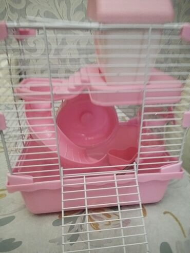 переноска для кошек баку: Salam teze işlenmemiş hamster qefesi içinde lazım olan hersey