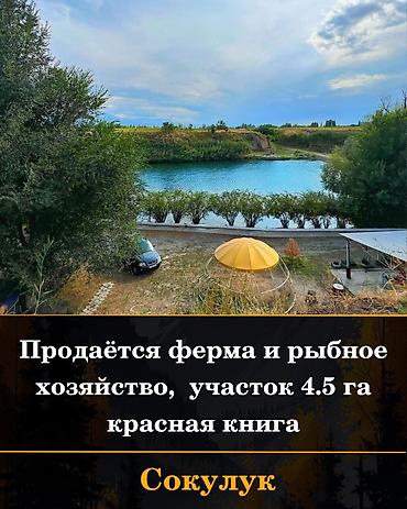 Продажа сельхоз предприятий: Рыбное хозяйство, 400 соток, Действующий, С оборудованием, Электричество, Скважина, Холодная вода — 1