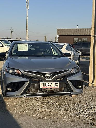 авто подголовник: Toyota Camry: 2020 г., 2.5 л, Автомат, Бензин, Седан — 1