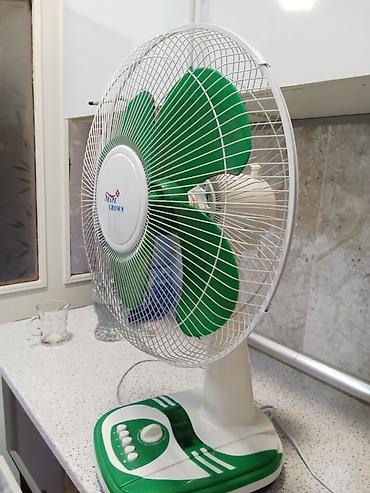 ventilator: Stolüstü ventilyator – Shape Crown - Rəng: yaşıl-ağ - Tip: elektrikli — 3