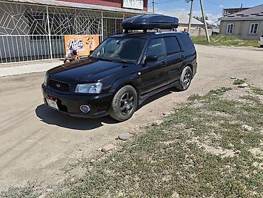 форестер 2015: Subaru Forester: 2004 г., 2 л, Автомат, Бензин, Универсал — 3