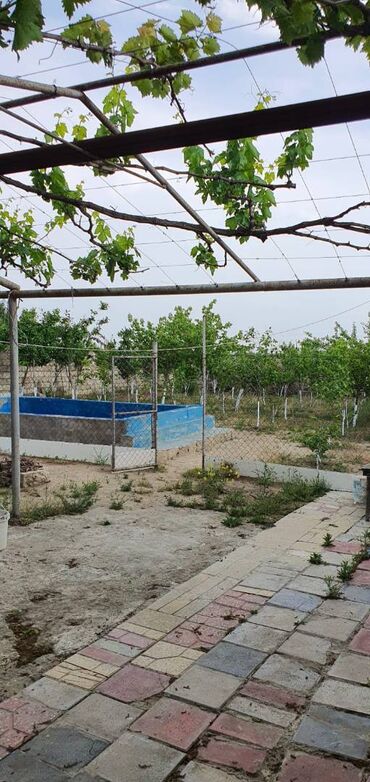 Uzunmüddətli kirayə evlər: 100 kv. m, 3 otaqlı, Su, Qaz, İşıq — 12