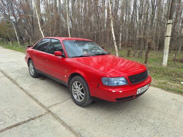 volnistyi popugai 2 mesyatsa: Audi A6: 1997 г., 1.8 л, Механика, Бензин, Седан
