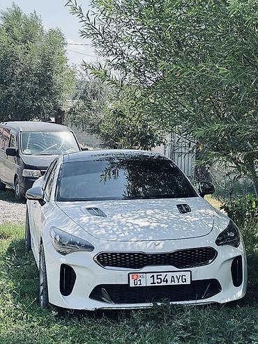 work kiwami: Kia Stinger: 2017 г., 3.3 л, Автомат, Бензин, Лифтбек — 4