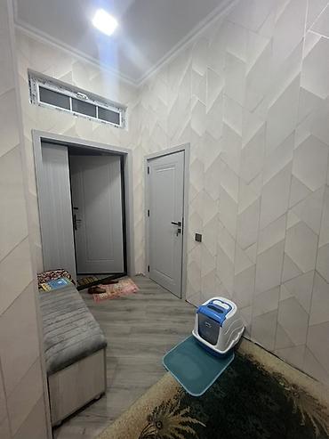 yagmur: Mətbəx mebeli və texnika paketi - Ölçü və planlama: Uzun xətt üzrə — 8