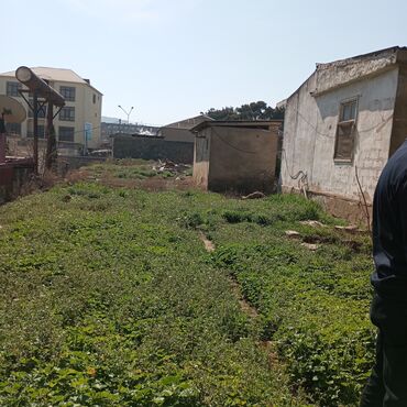 Torpaq sahələrinin satışı: 16 sot, Tikinti, Mülkiyyətçi, Kupça (Çıxarış) — 4