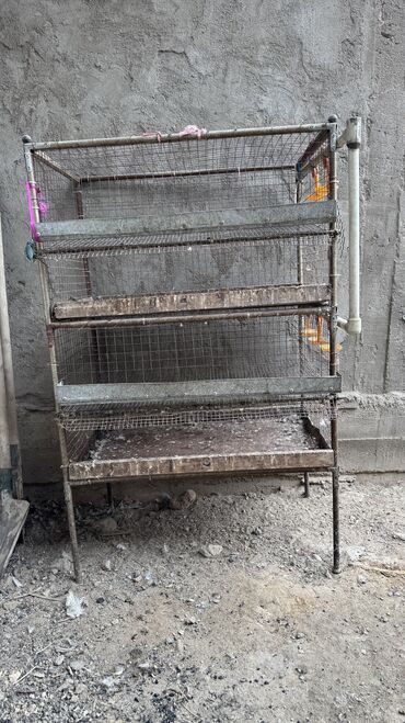 Товары и оборудование для с/х животных: Продается клетка для перепел — 6