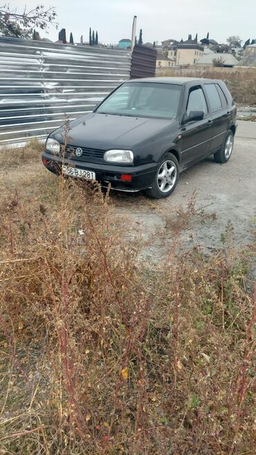 volkswagen golf vii: Volkswagen Golf: 2 л | 1993 г. Хэтчбэк