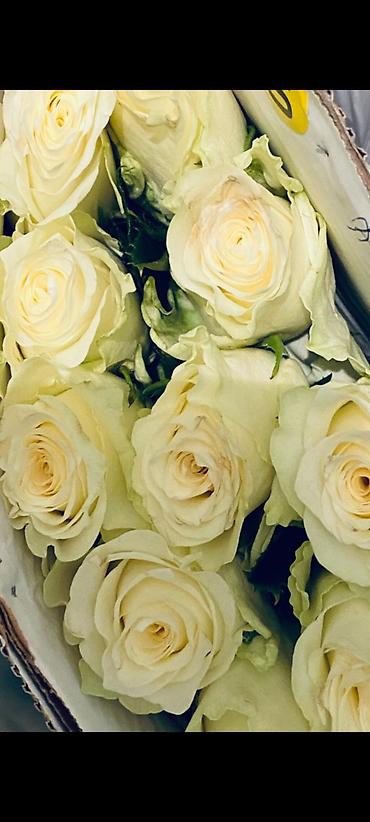 Букеты из живых цветов: Розы и тюльпаны к 8 Марта - Срезанные свежие розы в ассортименте — 1