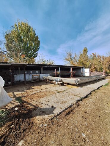 Продажа участков: 44 соток, Красная книга — 2