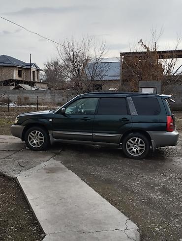 Subaru: Subaru Forester: 2004 г., 2 л, Автомат, Бензин, Кроссовер — 10