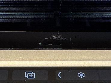 макбук в рассрочку бишкек: Б/у, Apple M1, ОЗУ, RAM: 8 ГБ — 4