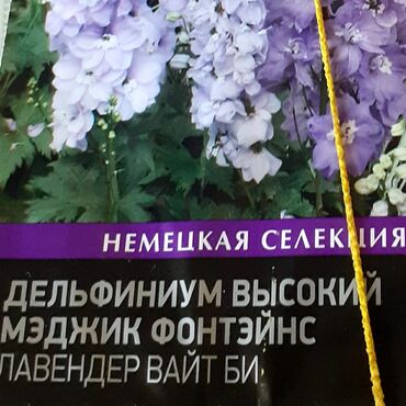 Другие книги и журналы: Продается семена дельфиниумов и катарантусов — 2
