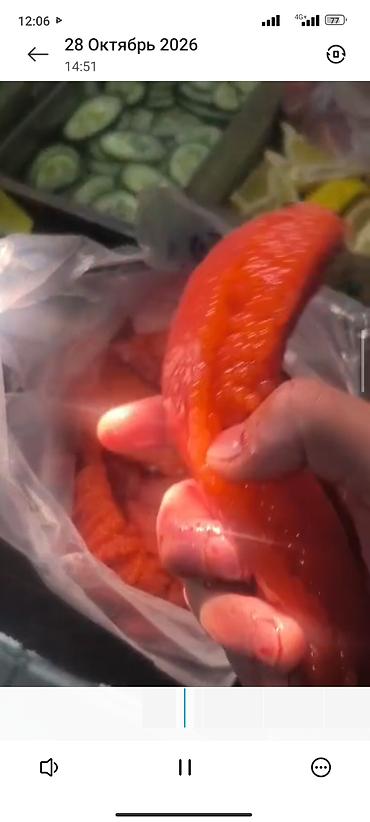 рыба капченная: Икра сатып алам свежийКуплю икру в ястыках . Ястык сатып алам — 2