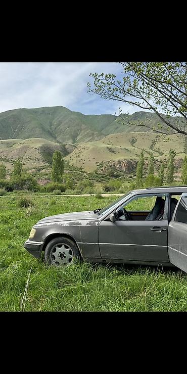 Mercedes-Benz: Mercedes-Benz W124: 1991 г., Универсал — 3