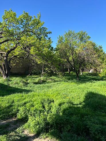 Продажа домов: Дом, 36 м², 2 комнаты, Собственник at lalafo.kg — 6 Продажа домов: Дом, 36 м², 2 комнаты, Собственник — 6