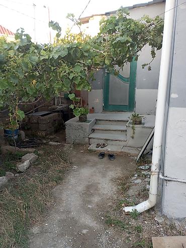 şəkidə kirayə: 3 otaqlı mənzil – mebel və texnika ilə - Planlama: geniş qonaq otağı — 9